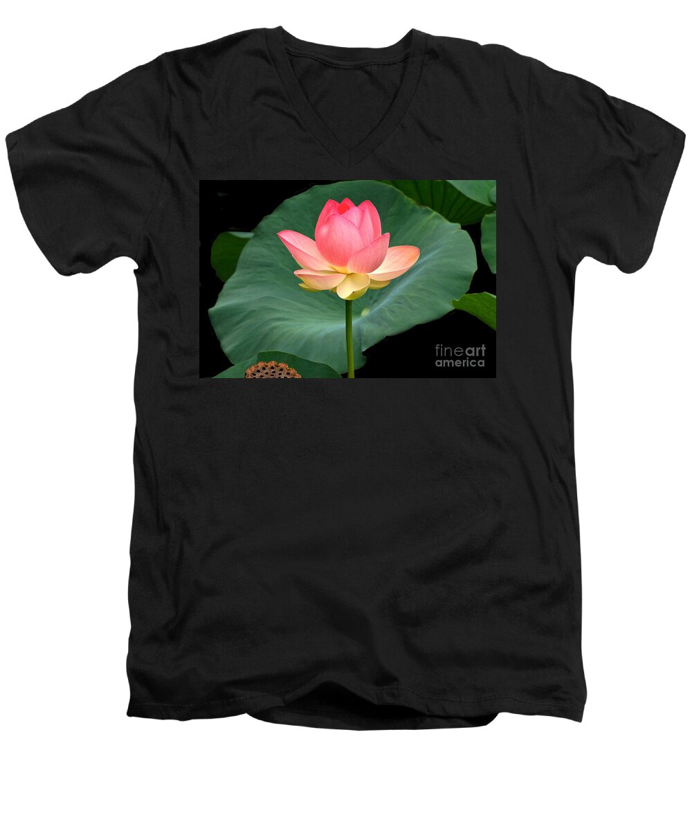 Lotus Blossom And Leaves And Seed Pod Men's V-Neck T-Shirt featuring the photograph Lotus Of Late August by Byron Varvarigos