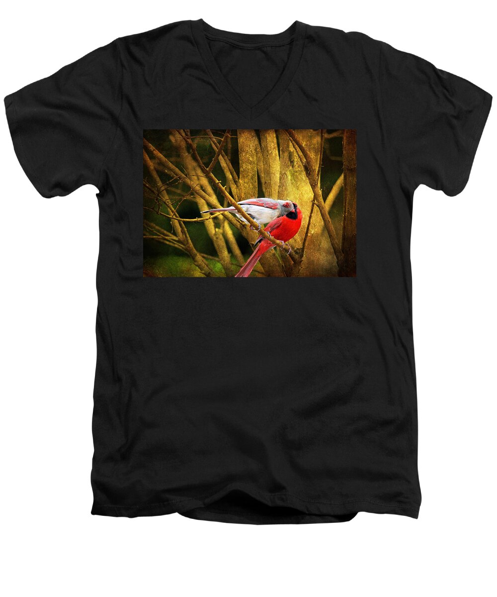 Cardinals Men's V-Neck T-Shirt featuring the photograph Love In a Dark World by Trina Ansel