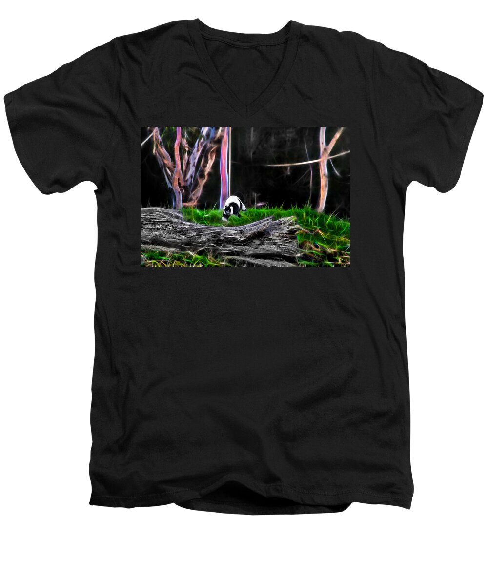 Lemur Men's V-Neck T-Shirt featuring the photograph Walk in Magical Land Of The Black and White Ruffed Lemur by Miroslava Jurcik