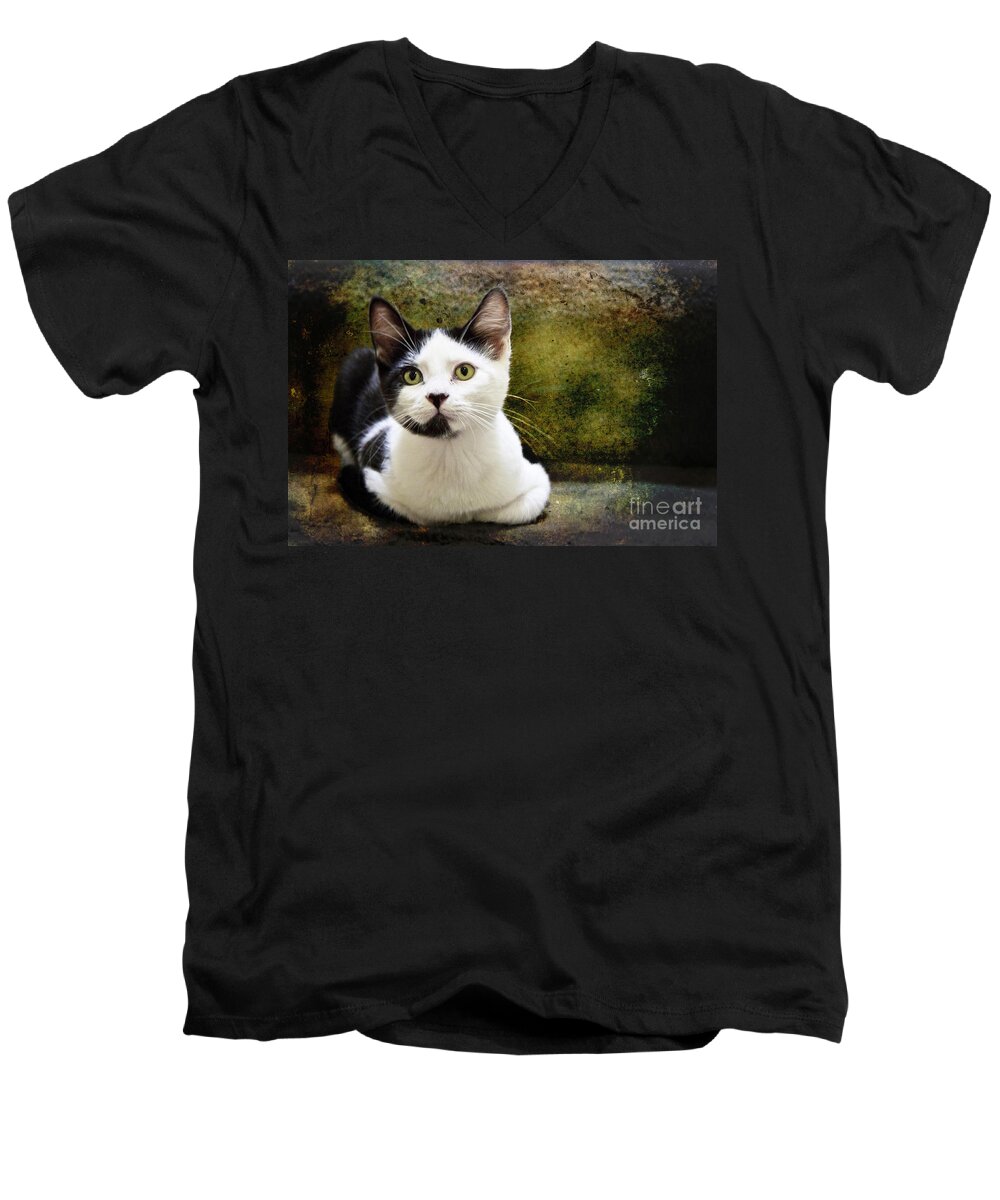 Kittens Men's V-Neck T-Shirt featuring the photograph Mika by Ellen Cotton