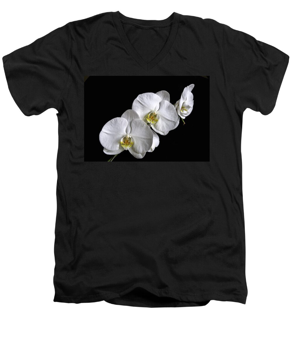 White Moth Orchid Men's V-Neck T-Shirt featuring the photograph Moth Orchid Trio by Ron White