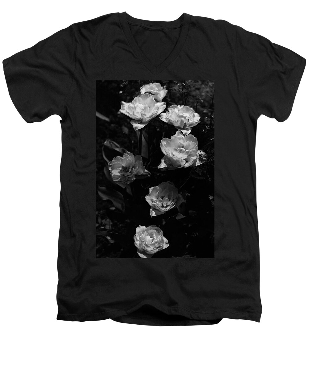 Fashion Men's V-Neck T-Shirt featuring the photograph Mount Tacoma Tulips by Walter Beebe Wilder