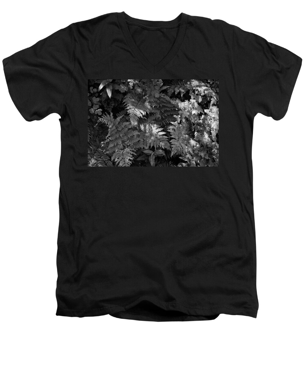 Beautiful Photos Men's V-Neck T-Shirt featuring the photograph Mountain Ferns 1 by Roger Snyder