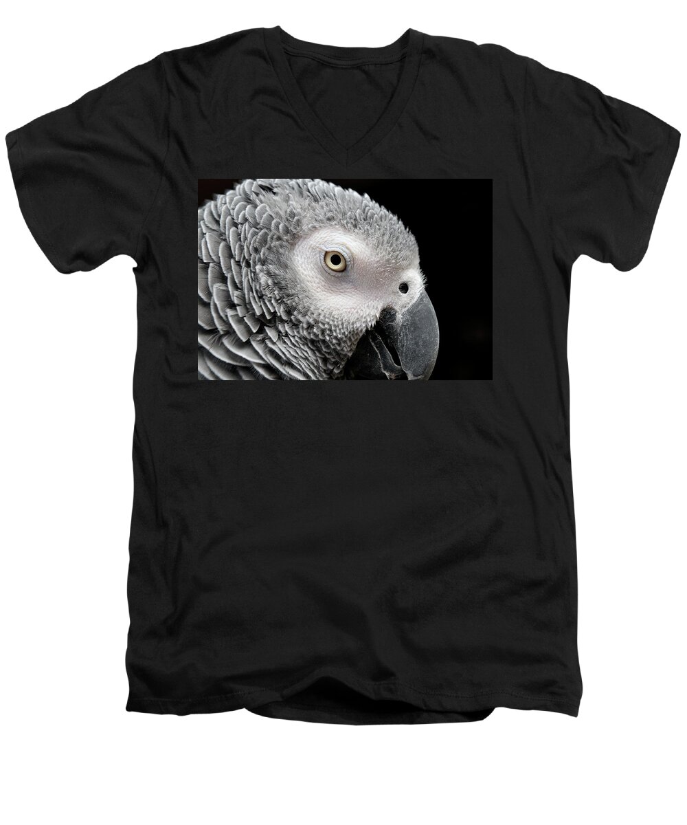 African Grey Parrot Men's V-Neck T-Shirt featuring the photograph My Name is Bogie by Betty LaRue