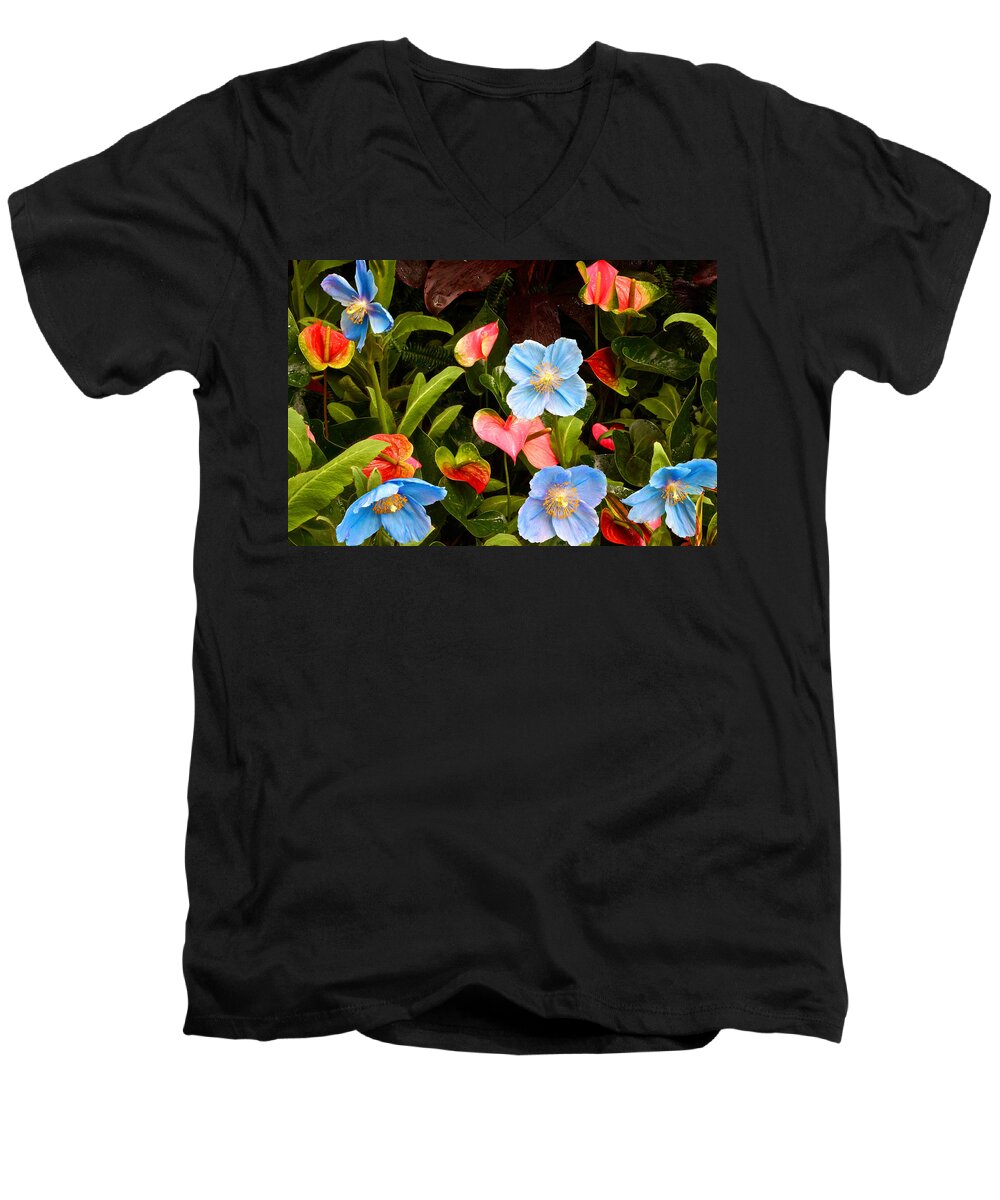 Meconopsis Betonicifolia Men's V-Neck T-Shirt featuring the photograph New World and Old World Exotic Flowers by Byron Varvarigos