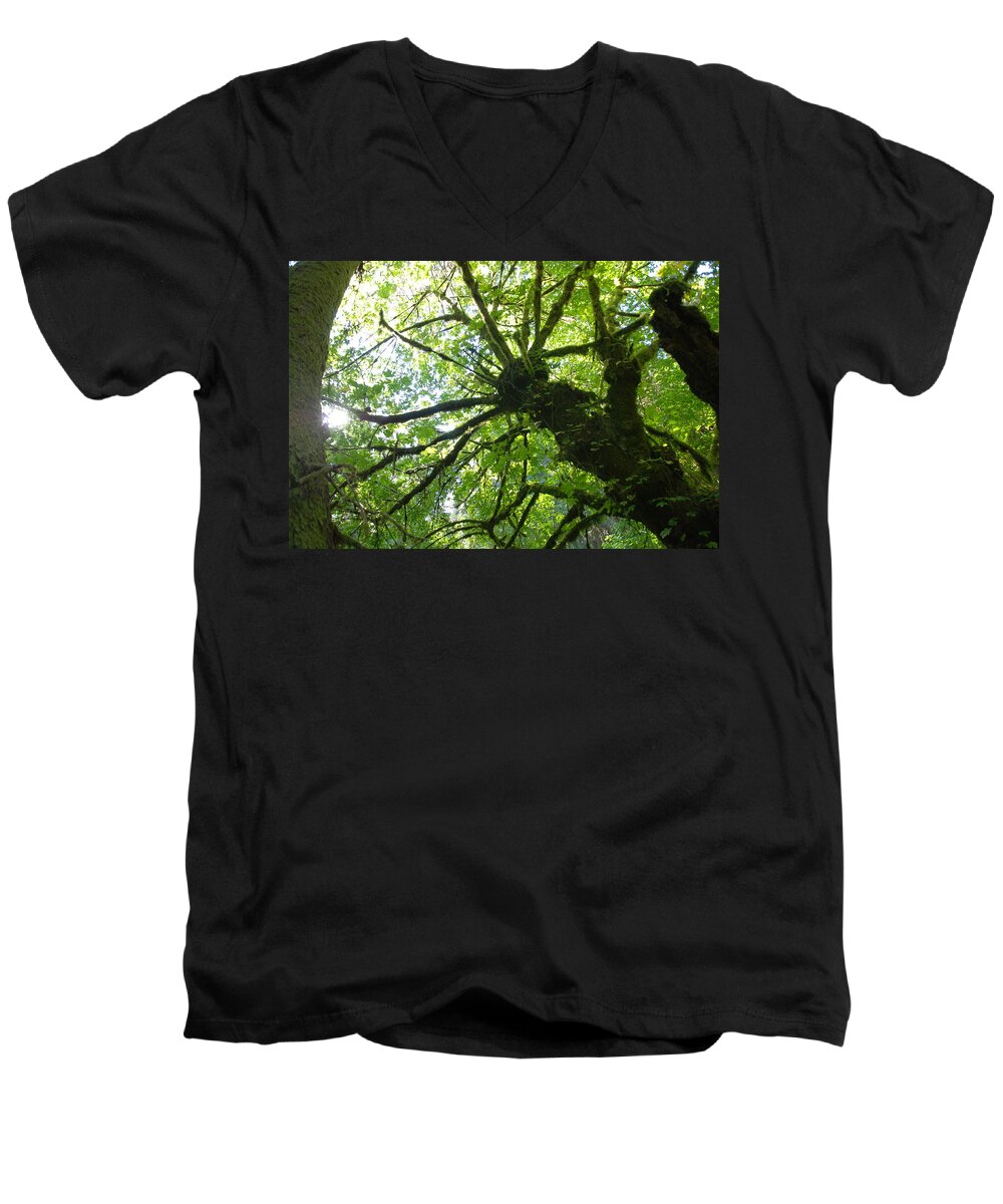 Forest Men's V-Neck T-Shirt featuring the photograph Old Growth Tree in Forest by Shane Kelly