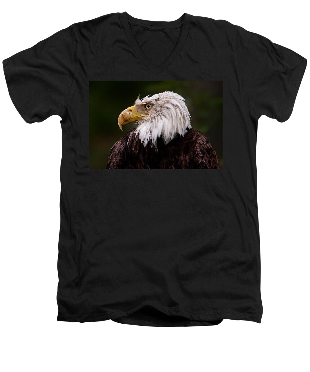 Eagle Men's V-Neck T-Shirt featuring the photograph Old Warrior by Brent L Ander