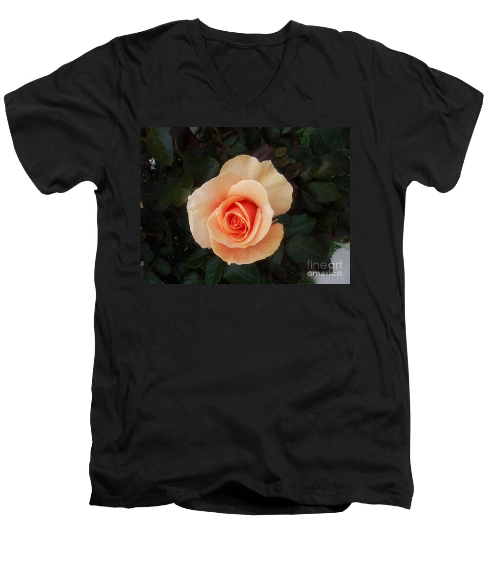 Perfect Men's V-Neck T-Shirt featuring the photograph Perfect Peach Rose by Bev Conover