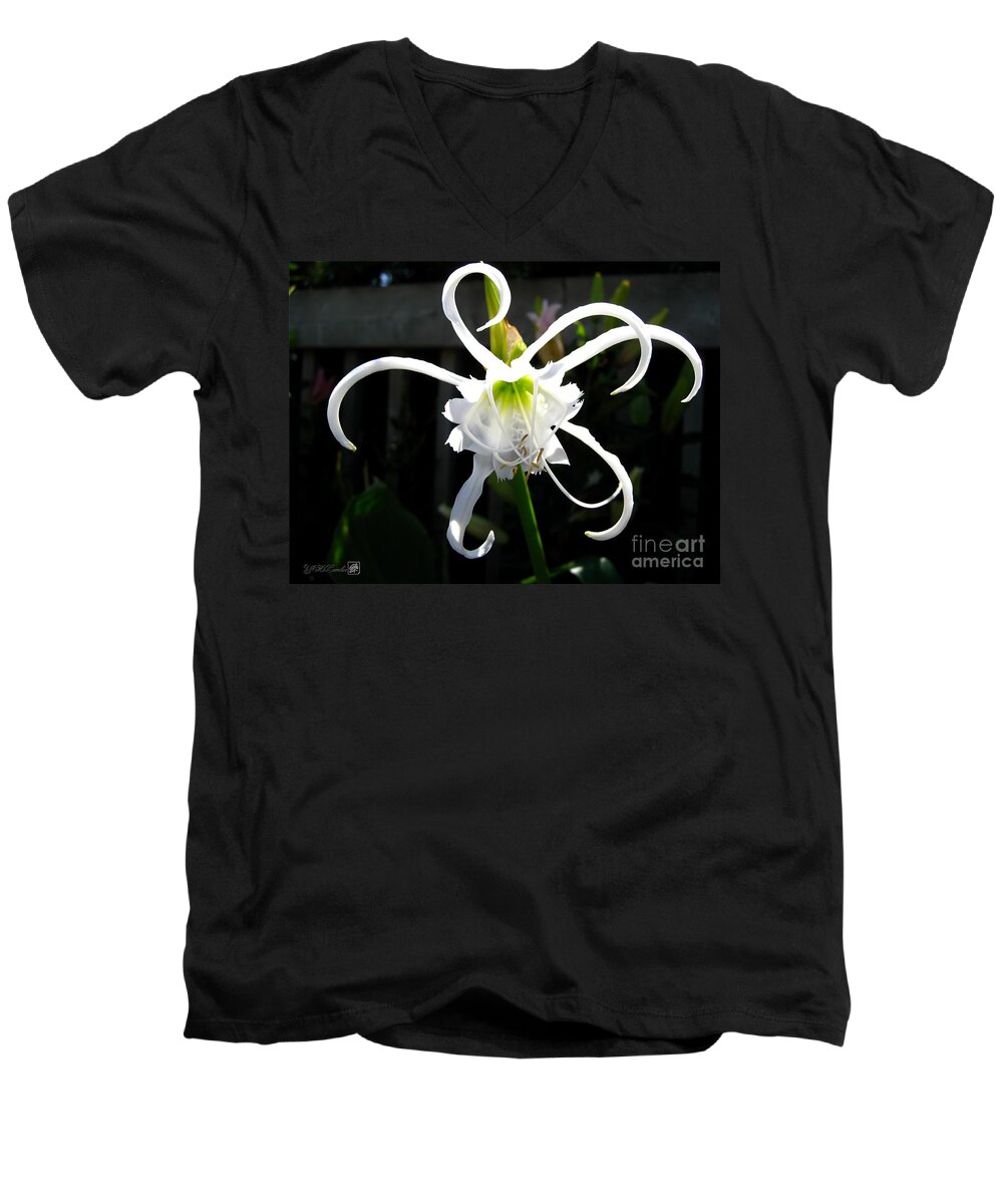 Mccombie Men's V-Neck T-Shirt featuring the photograph Peruvian Daffodil named Advance by J McCombie