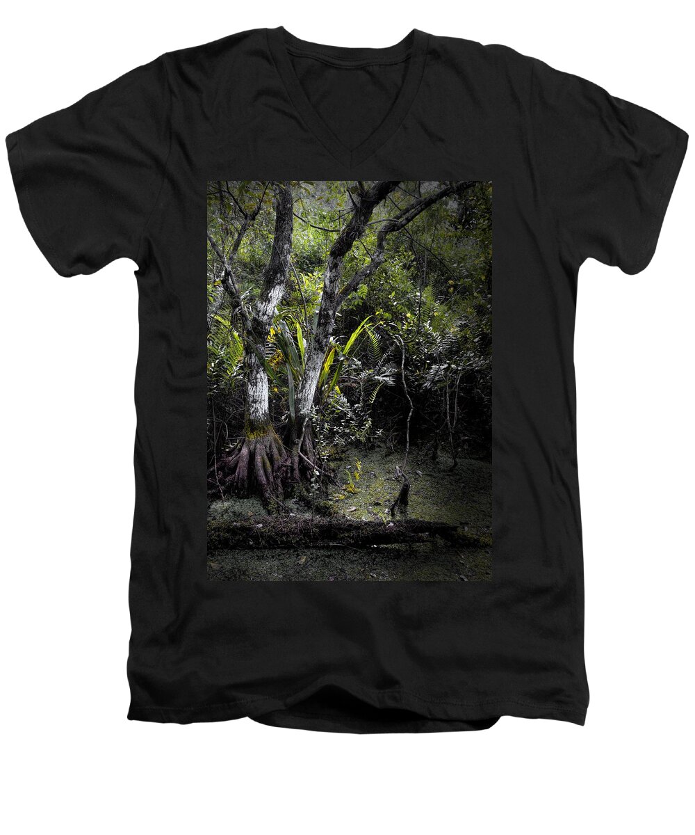 Arthur R. Marshall Men's V-Neck T-Shirt featuring the photograph Pond Apple by Rudy Umans