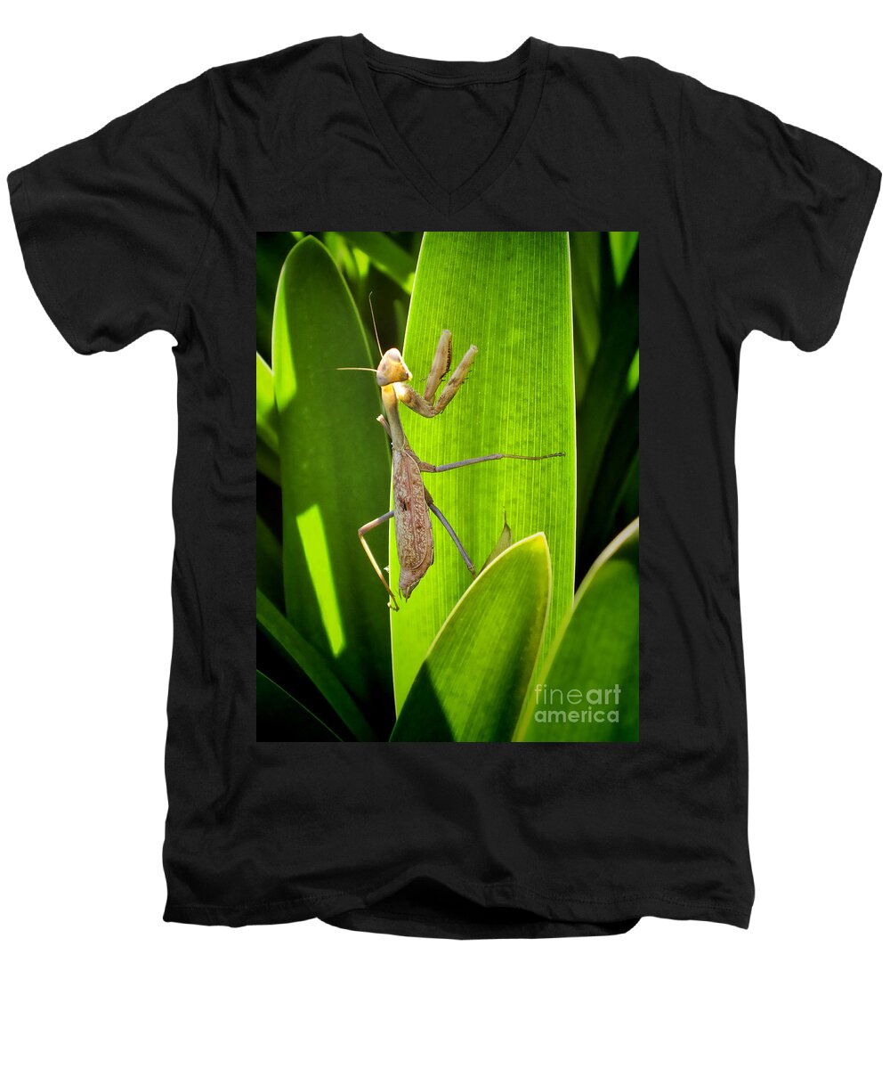 Praying Men's V-Neck T-Shirt featuring the photograph Praying Mantis by Kasia Bitner