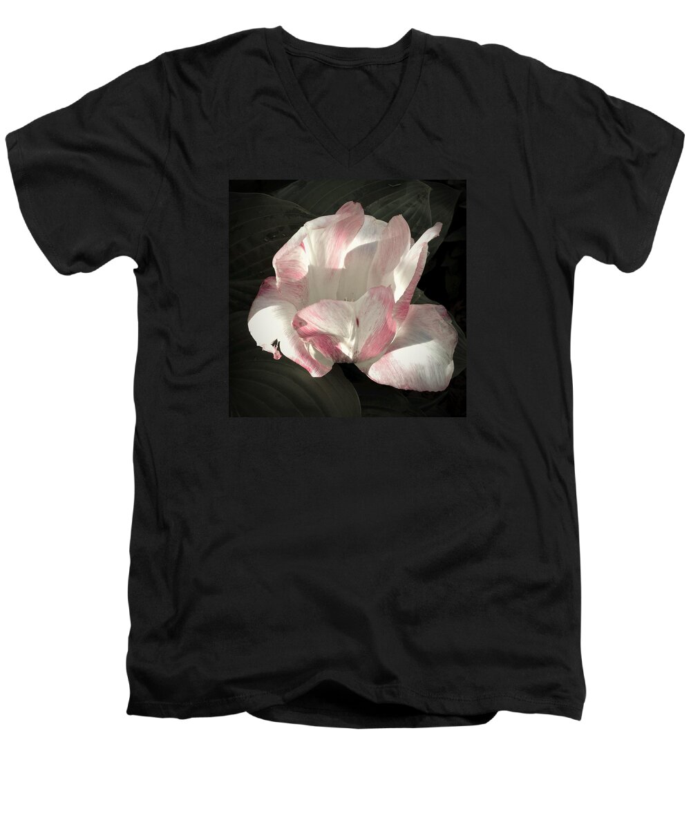 Tulip Men's V-Neck T-Shirt featuring the photograph Pretty in Pink by Photographic Arts And Design Studio