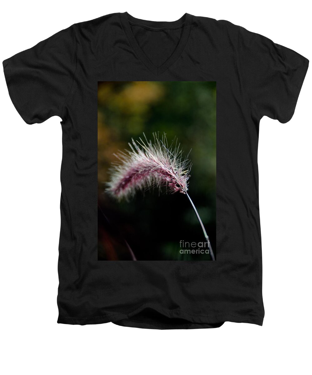 Purple Men's V-Neck T-Shirt featuring the photograph Purple Fountain Grass 2 by Cassie Marie Photography