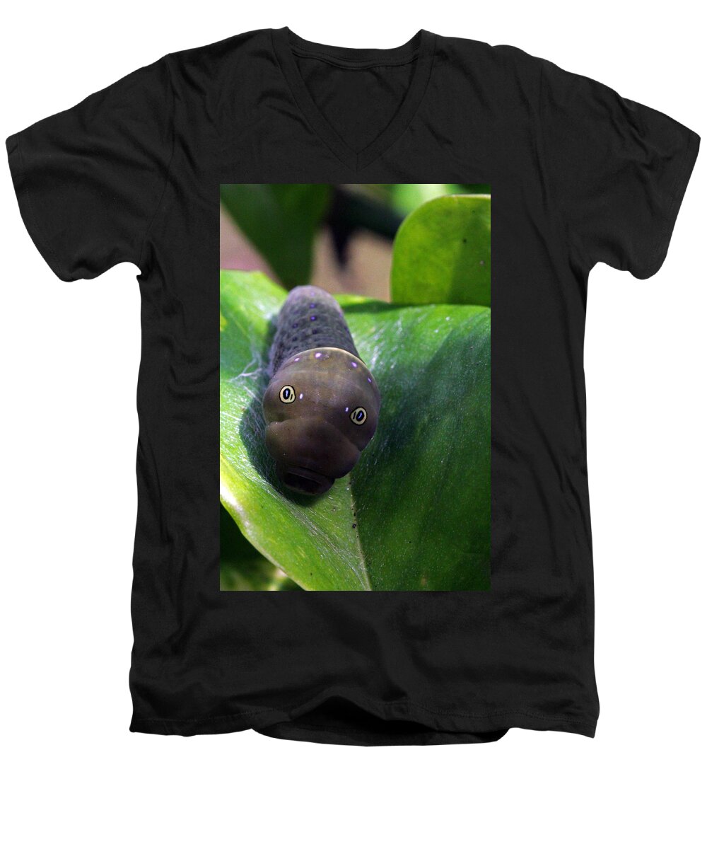 Insects Men's V-Neck T-Shirt featuring the photograph Purple Polkadots by Jennifer Robin
