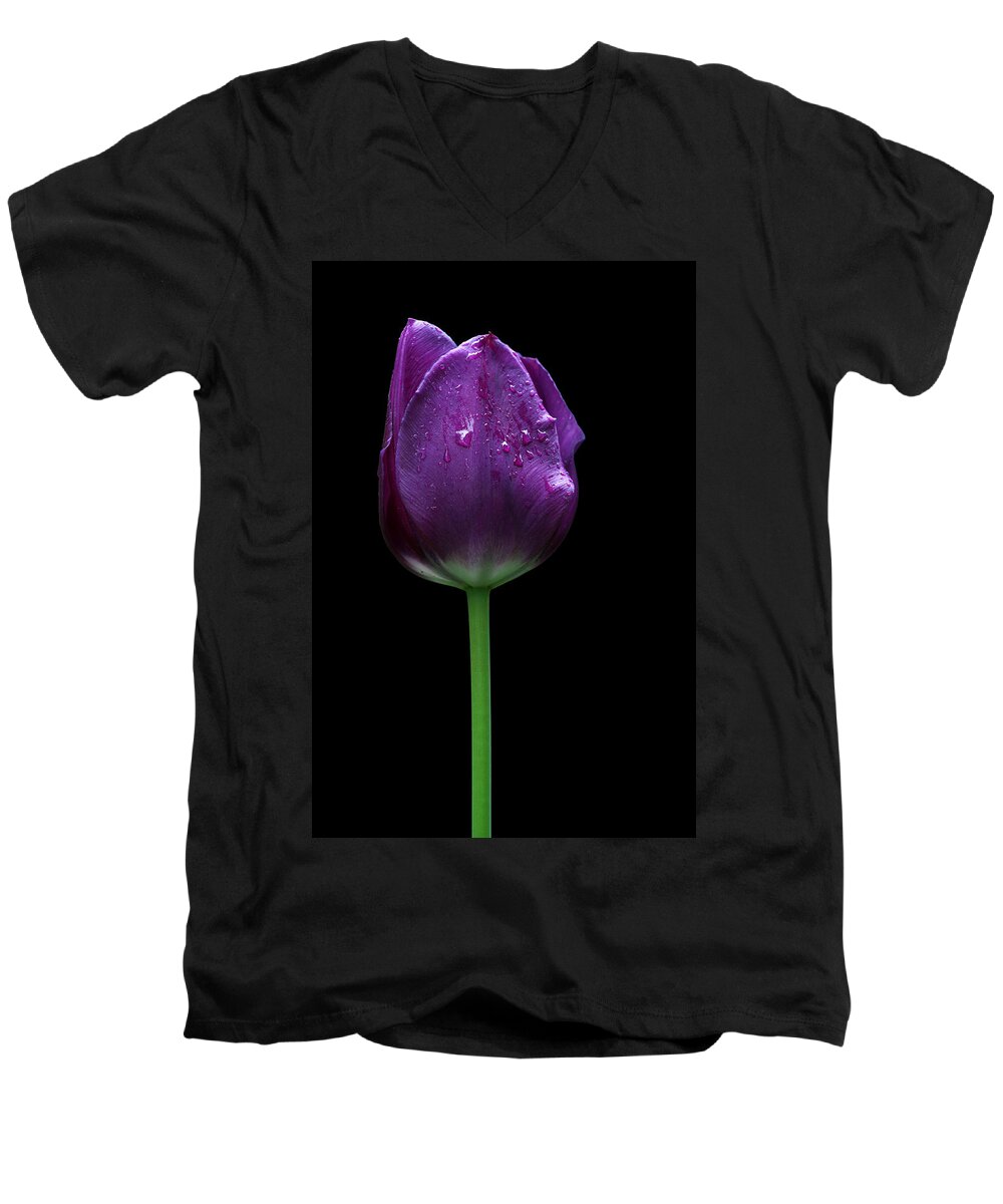 Beautiful Men's V-Neck T-Shirt featuring the photograph Purple tulip by Ivan Slosar