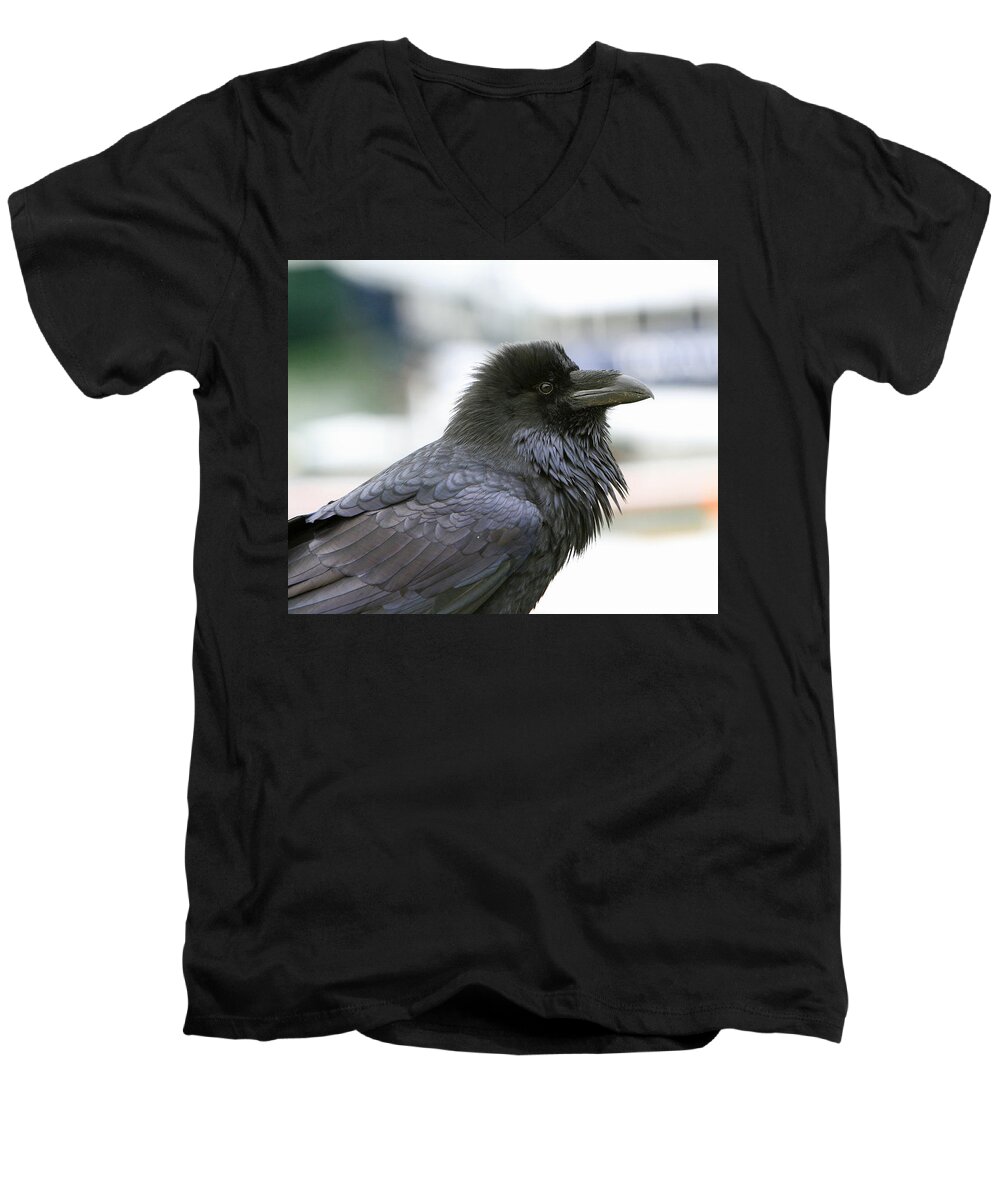 Raven Men's V-Neck T-Shirt featuring the photograph Quoth the Raven by Shoal Hollingsworth