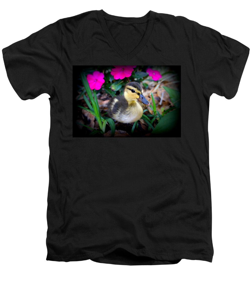 Duck Family Men's V-Neck T-Shirt featuring the photograph Reynolds by Laurie Perry
