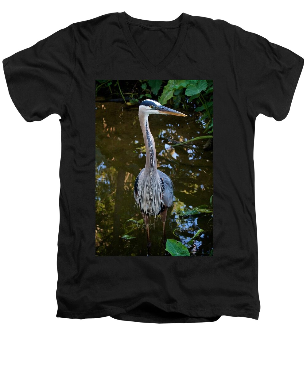 Wildbird Rookery Men's V-Neck T-Shirt featuring the photograph Rookery 1 by David Beebe