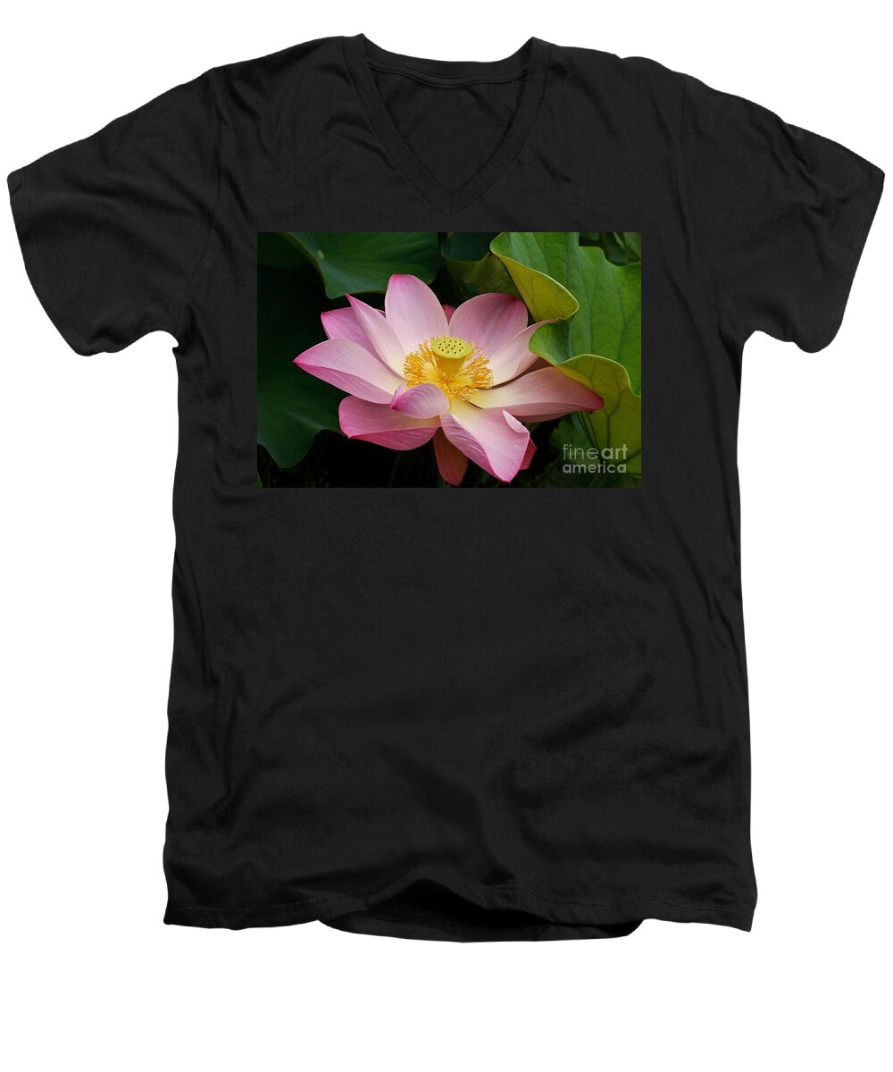 Sacred Light Pink Lotus Men's V-Neck T-Shirt featuring the photograph Sacred Lotus by Byron Varvarigos