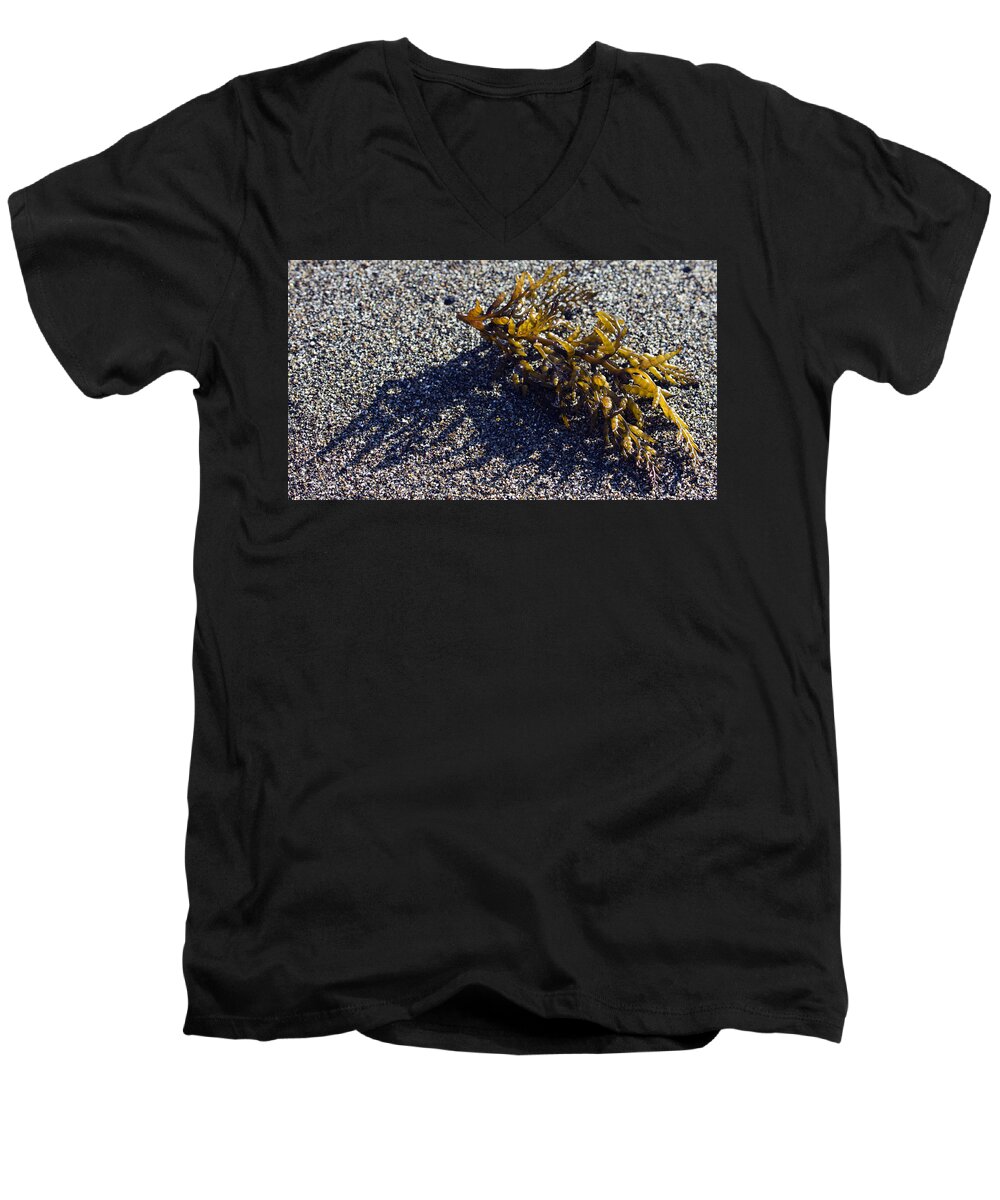 Seaweed Men's V-Neck T-Shirt featuring the photograph Seaweed Shadow by Josh Bryant
