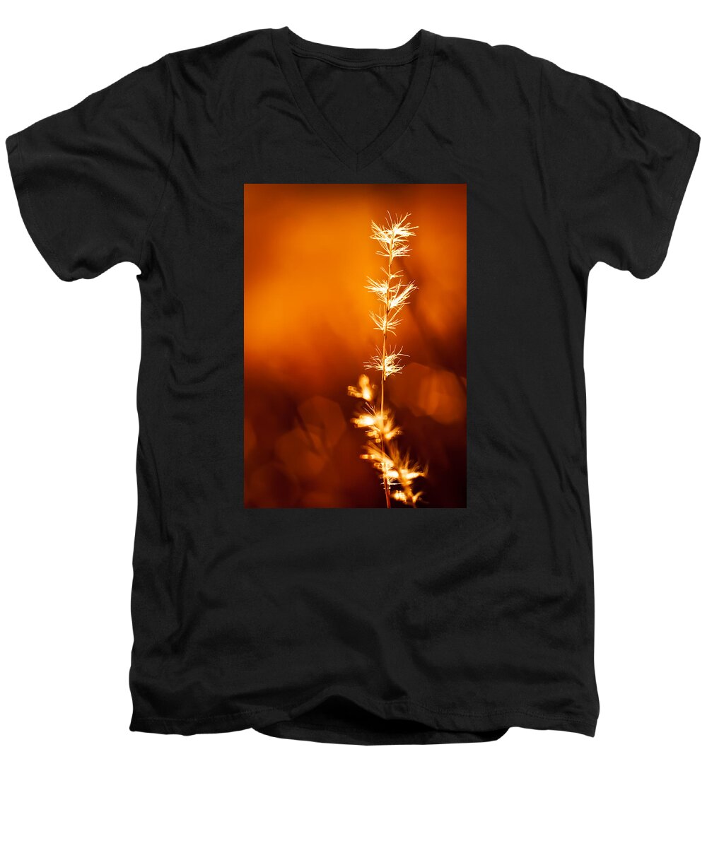 Abstract Men's V-Neck T-Shirt featuring the photograph Serene by Darryl Dalton