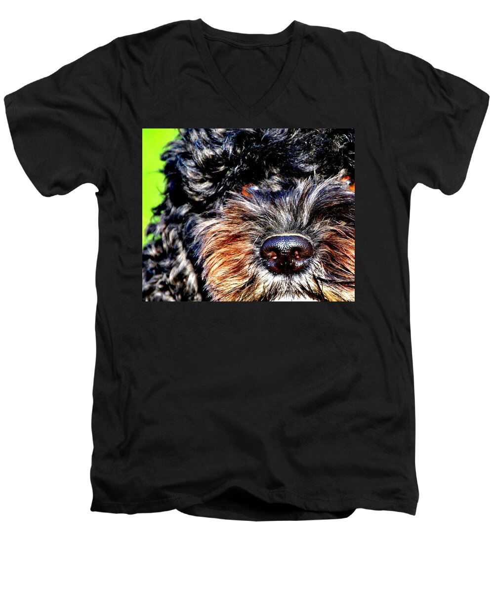 Dog Men's V-Neck T-Shirt featuring the photograph Shaggy Black Dog by Marysue Ryan