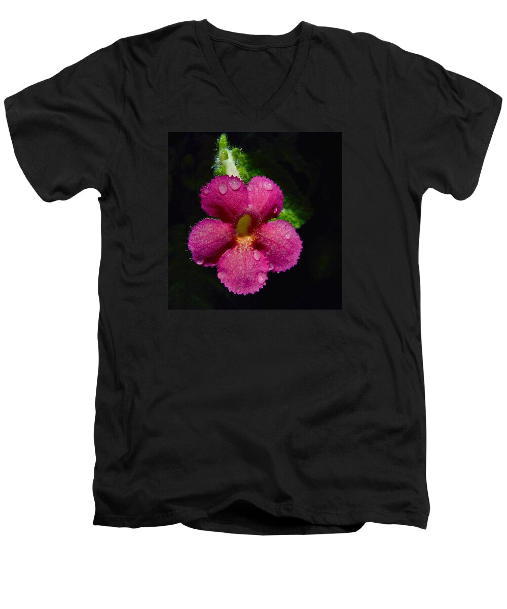 Pink Flower Men's V-Neck T-Shirt featuring the photograph Small Beauty by Jocelyn Kahawai