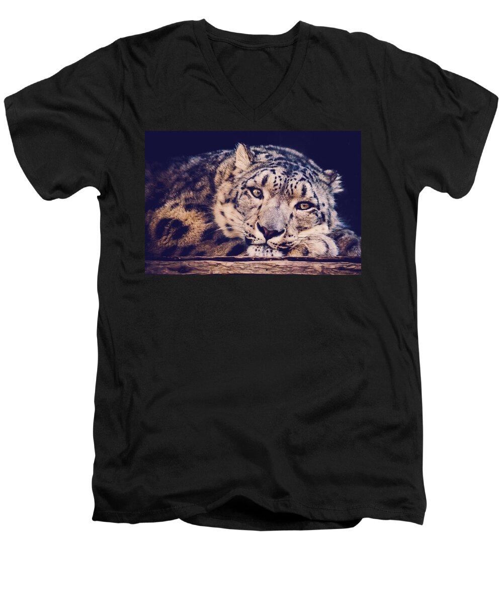 Snow Leopard Men's V-Neck T-Shirt featuring the photograph Snow Leopard by Sara Frank