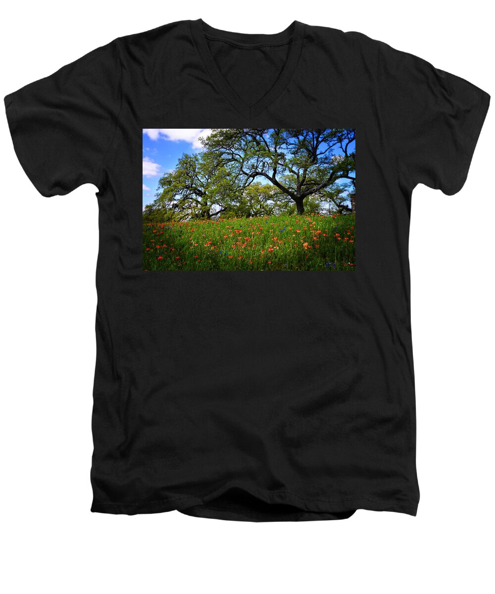 Bluebonnets In Texas Men's V-Neck T-Shirt featuring the photograph Spring Dreams by Lynn Bauer