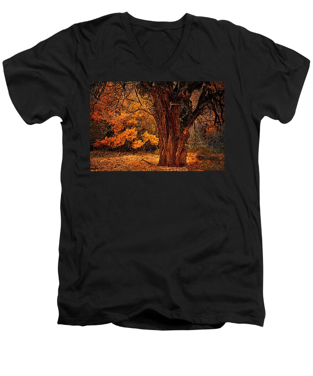 Oak Men's V-Neck T-Shirt featuring the photograph Stately Oak by Priscilla Burgers