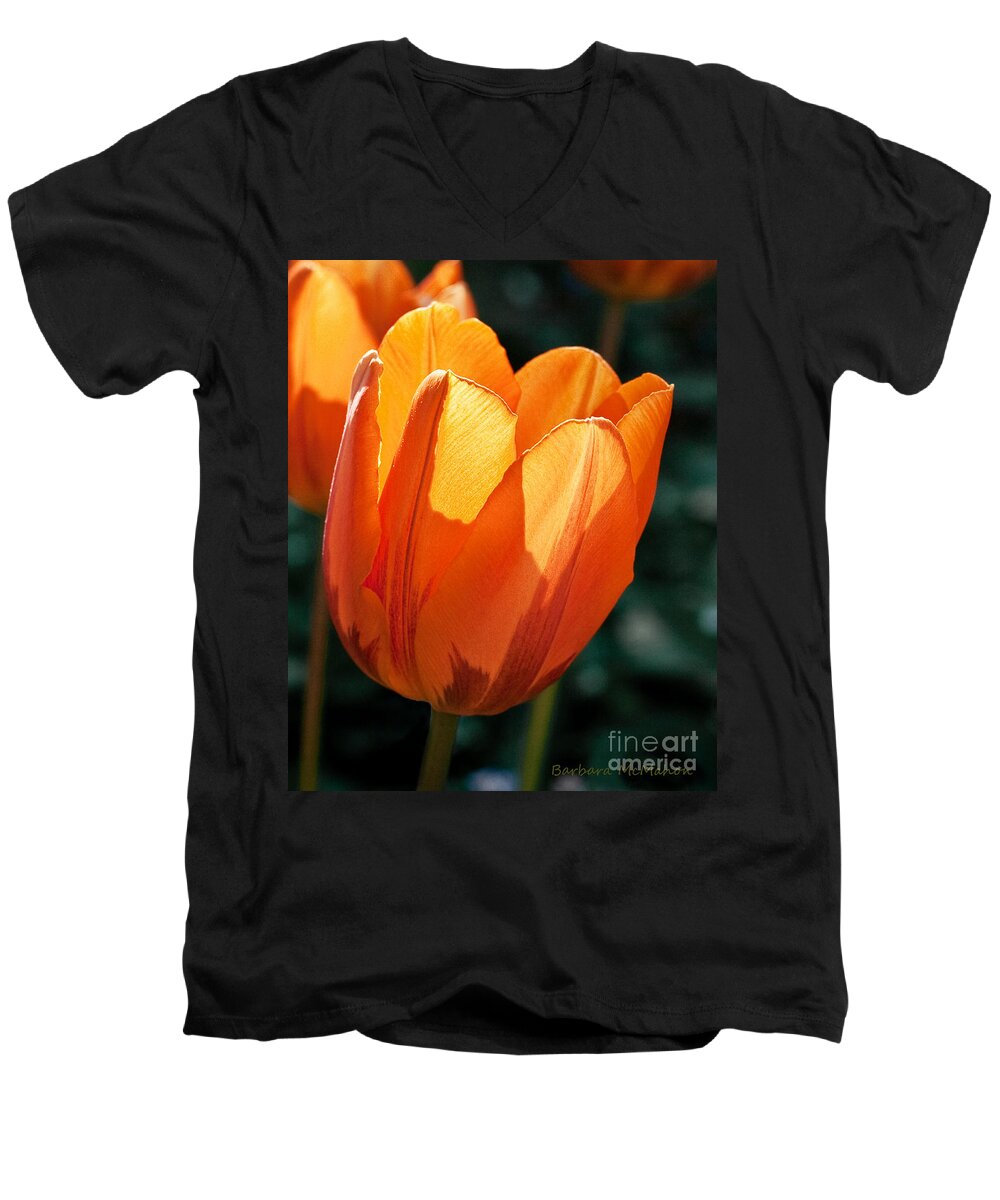 Flower Men's V-Neck T-Shirt featuring the photograph Sun Kissed Tulip by Barbara McMahon
