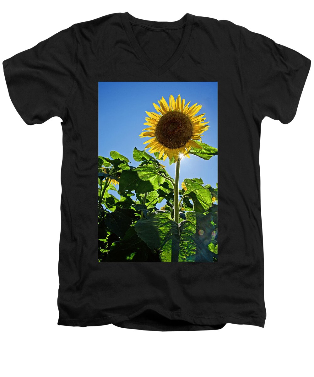 Sunflower Men's V-Neck T-Shirt featuring the photograph Sunflower with Sun by Donna Doherty