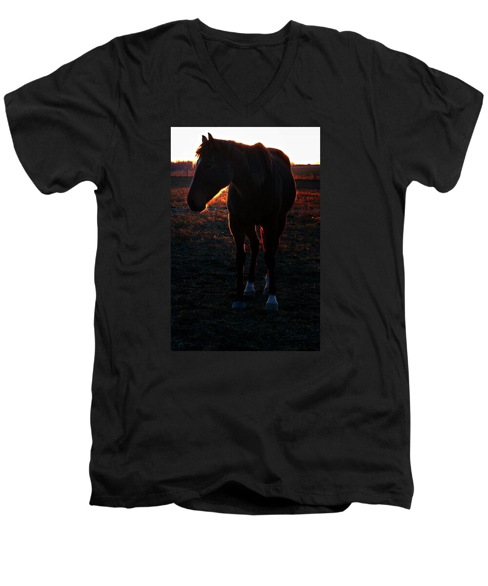 Animals Men's V-Neck T-Shirt featuring the photograph Sunset Splendor by Robert McCubbin