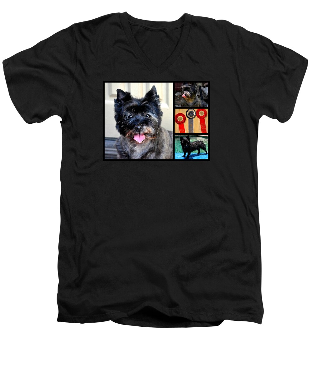 Dog Men's V-Neck T-Shirt featuring the photograph Sweetpea And Her Ribbons by Jay Milo