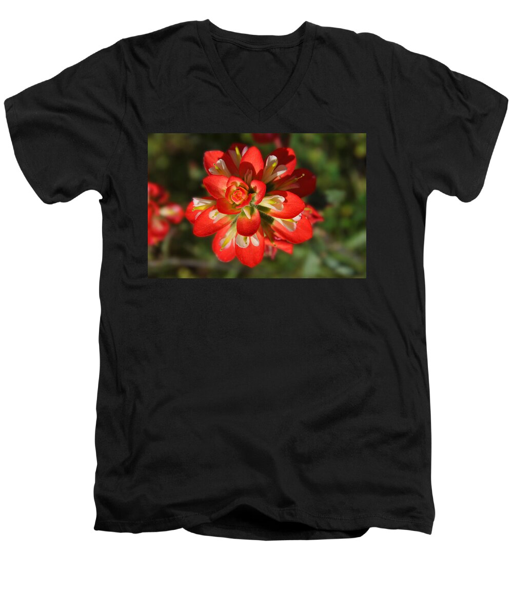 Texas Hill Country Men's V-Neck T-Shirt featuring the photograph Texas Paintbrush by Lynn Bauer