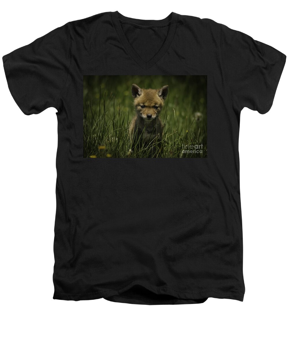 The Softer Side Of Nature Men's V-Neck T-Shirt featuring the photograph The Softer Side Of Nature by Mitch Shindelbower