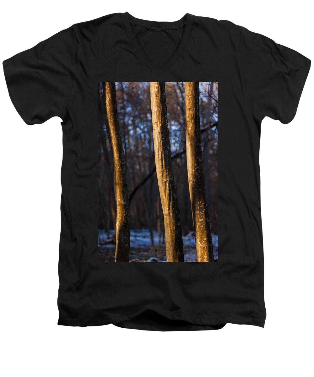 Forest Men's V-Neck T-Shirt featuring the photograph The Three Graces by Davorin Mance