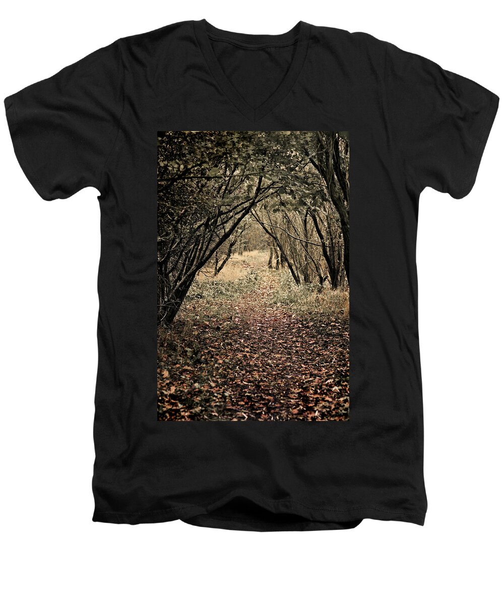 Footpath Men's V-Neck T-Shirt featuring the photograph The Walk by Meirion Matthias