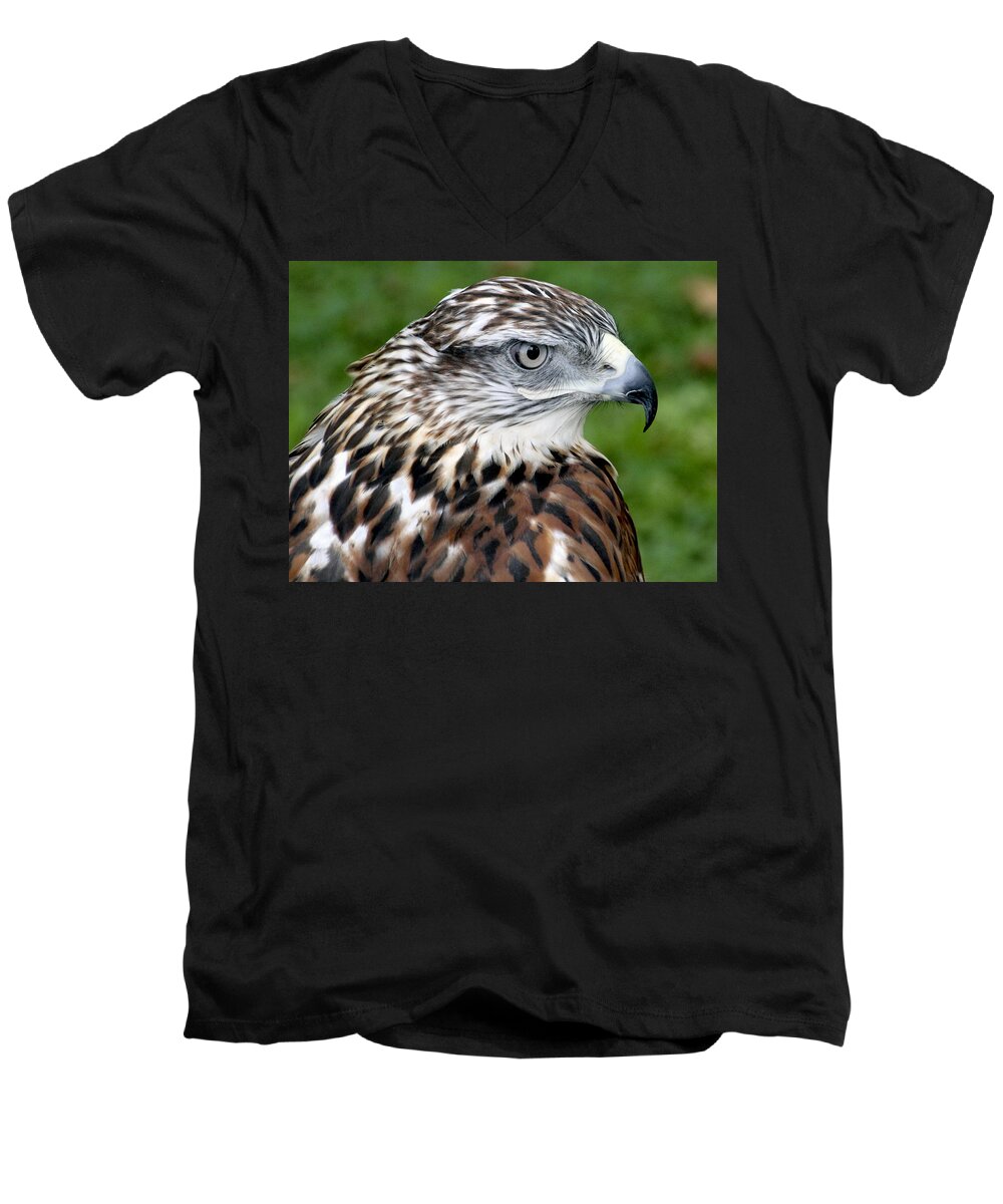 Hawk Men's V-Neck T-Shirt featuring the photograph The Threat of a Predator Hawk by Bob Slitzan