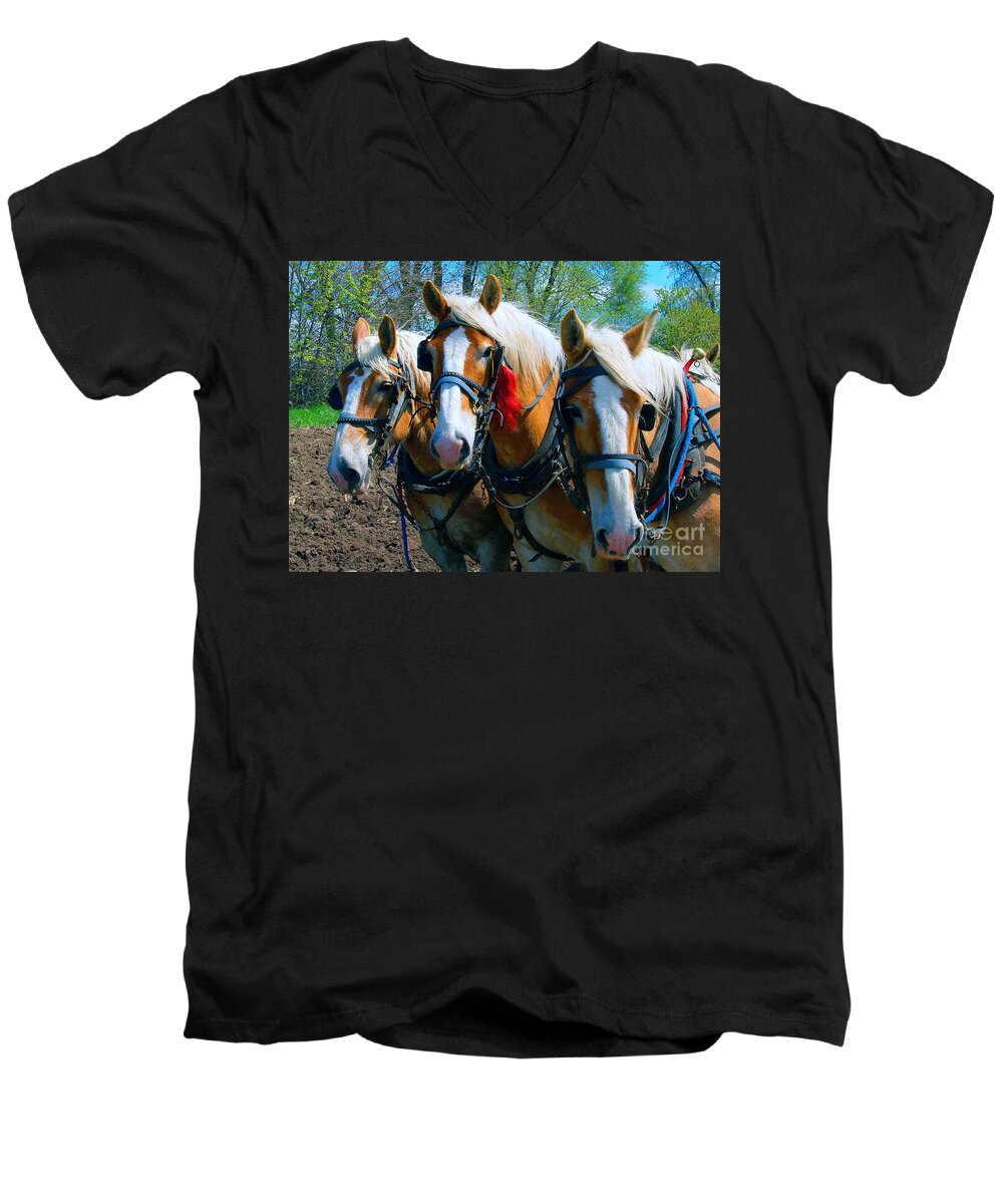  Draft Men's V-Neck T-Shirt featuring the photograph Three Horses Break Time by Tom Jelen