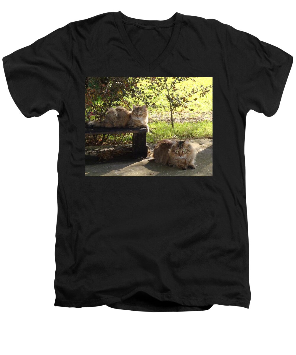 Barn Cats Men's V-Neck T-Shirt featuring the photograph Timber and Cougar by Barbie Batson