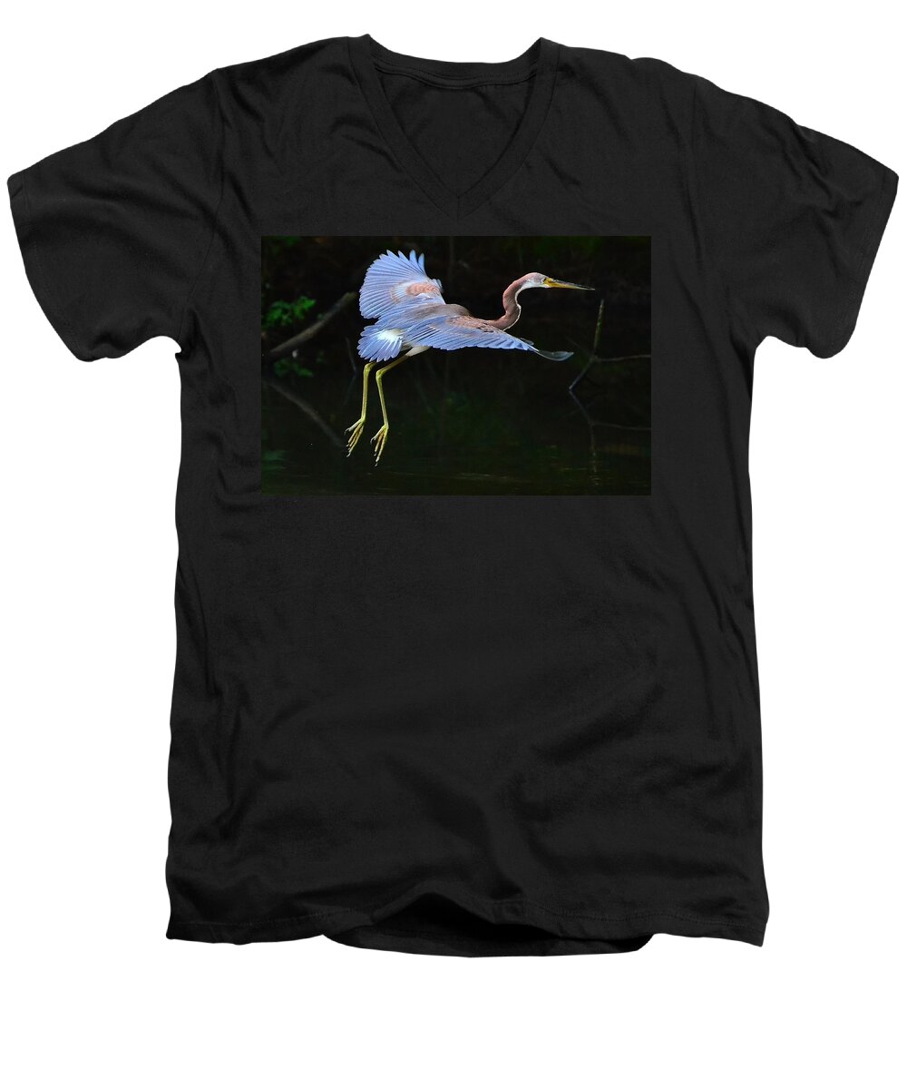 Tricolored Heron Men's V-Neck T-Shirt featuring the photograph Tricolored Heron by Charlotte Schafer