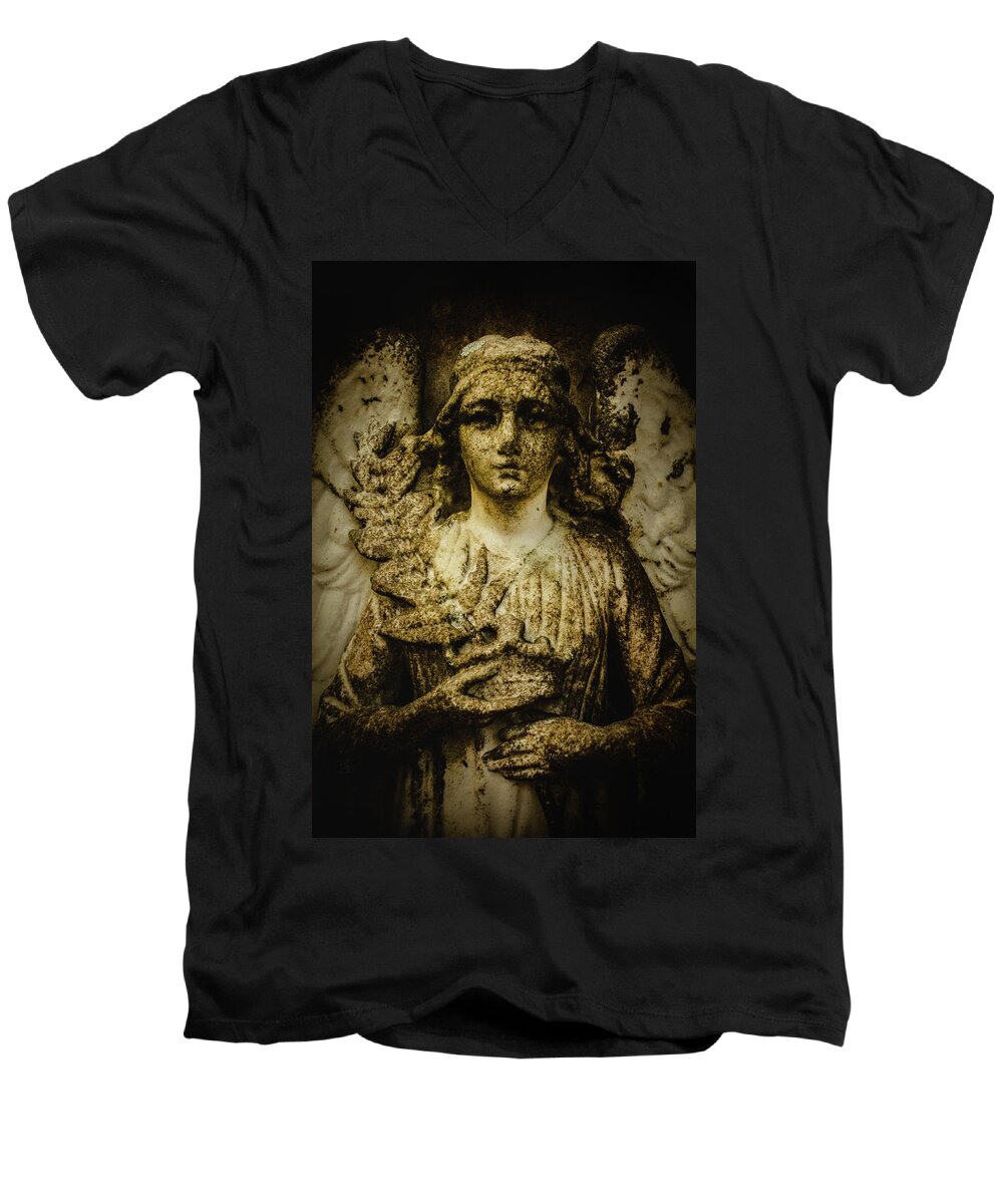 Angle Men's V-Neck T-Shirt featuring the photograph Triumph by Jessica Brawley