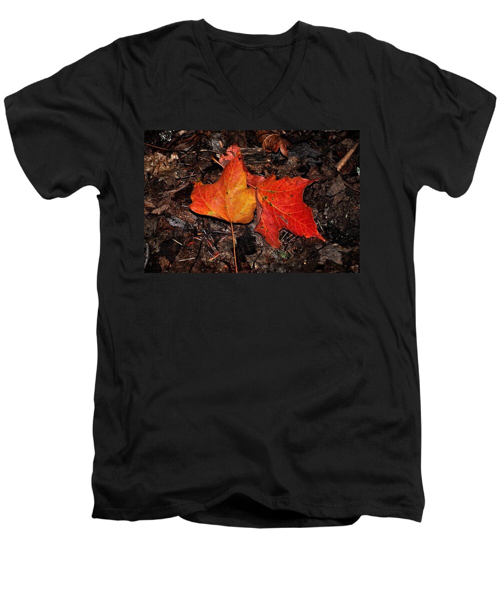 Autumn Men's V-Neck T-Shirt featuring the photograph Two Fallen Autumn Leaves by Phyllis Meinke