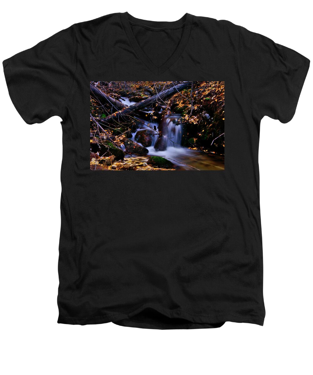 Mossy Men's V-Neck T-Shirt featuring the photograph Unnamed Beauty by Jeremy Rhoades