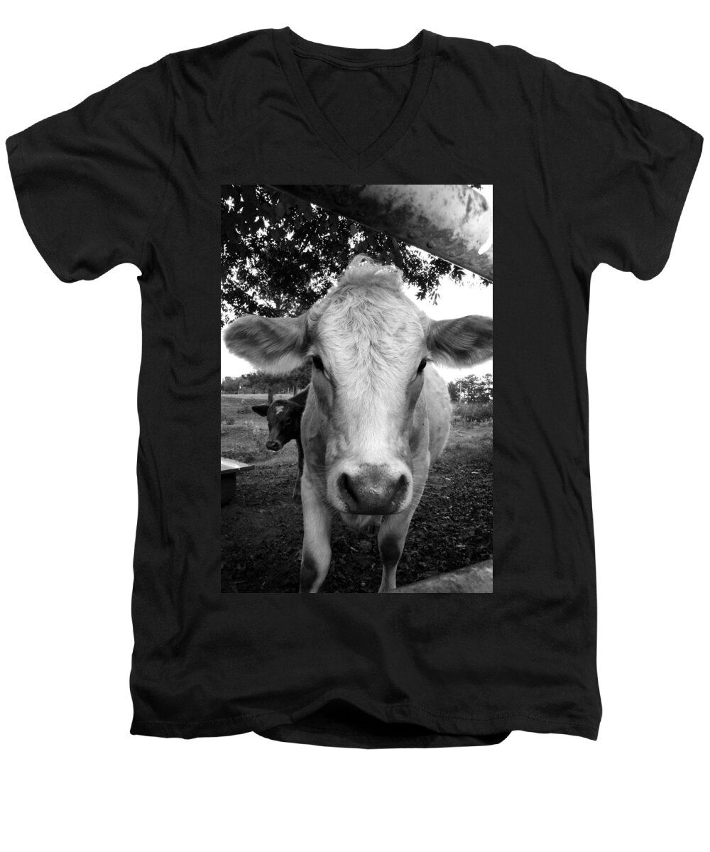 Kelly Men's V-Neck T-Shirt featuring the photograph Cow #1 by Kelly Hazel