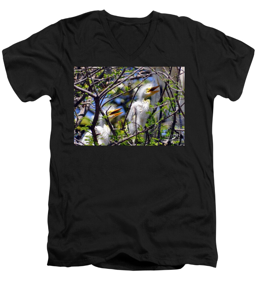 Egret Chicks Men's V-Neck T-Shirt featuring the photograph We Love You Mama by Lydia Holly