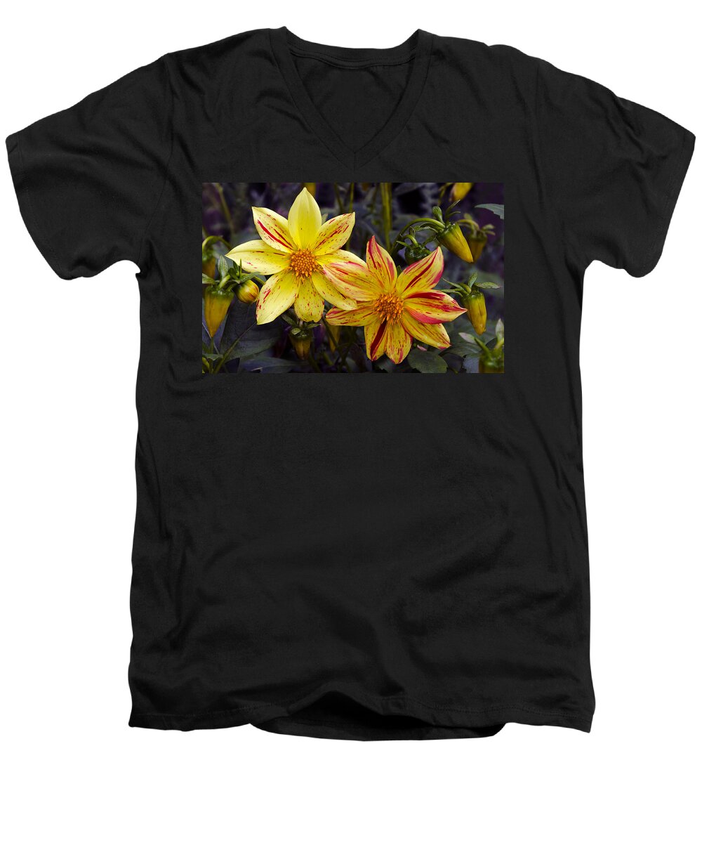 Yellow Dahlia Men's V-Neck T-Shirt featuring the photograph Yellow Dahlia by Greg Reed