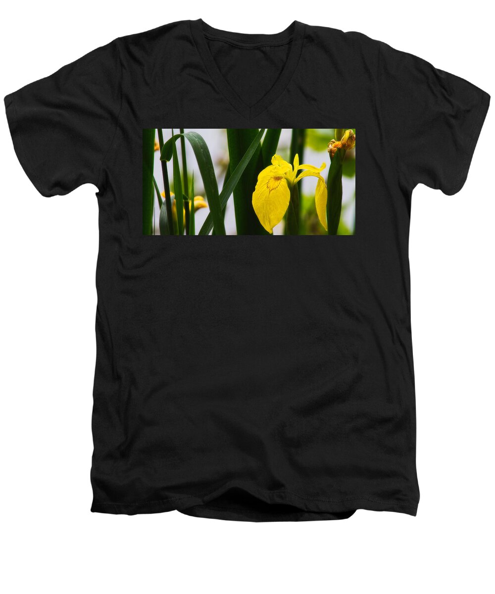 Europe Men's V-Neck T-Shirt featuring the photograph Yellow iris by Roberto Pagani