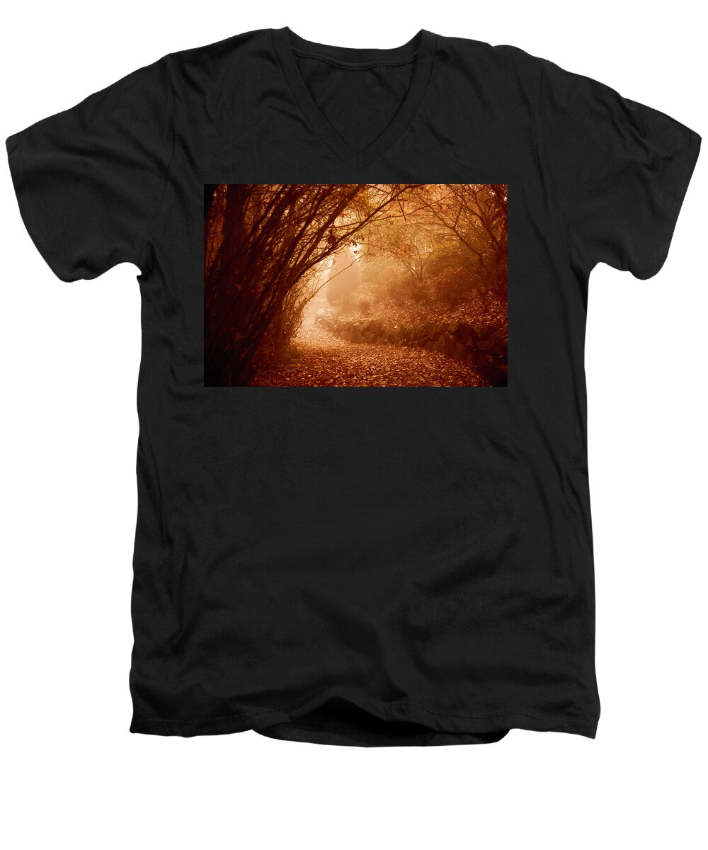 Path Men's V-Neck T-Shirt featuring the photograph Yellow Leaf Road by Monte Arnold